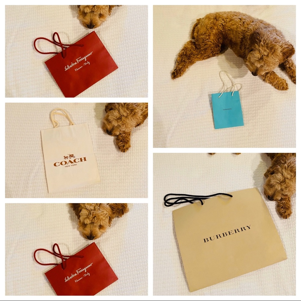 5! Luxury Gift Bag Collection - Picture 1 of 1